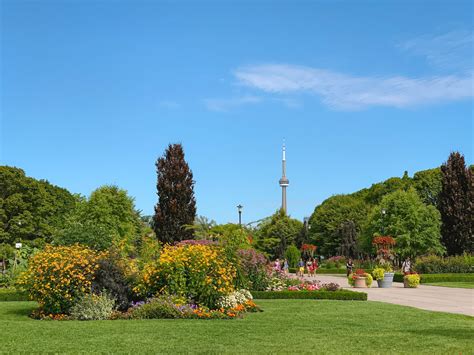 10 Best Things to Do at the Toronto Islands (Fun Activities to Try!)