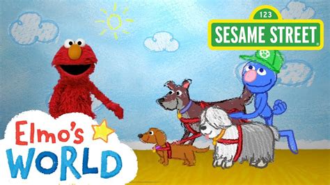 Sesame Street: Dog Walker | Elmo's World - YouTube