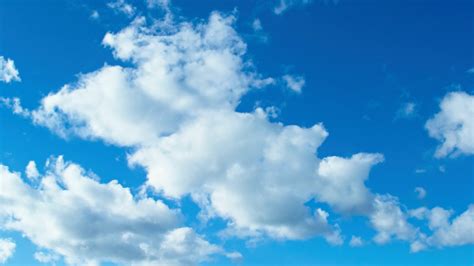 Sky Blue Color Background Hd ~ 2560x1440 Deep Sky Blue Solid Color ...