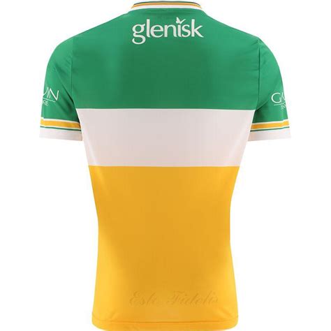 Authentic Offaly 2024 GAA jersey - Eirejerseys Official Store