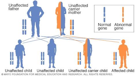 Slide show: How genetic disorders are inherited - Mayo Clinic