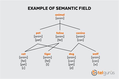 What is a semantic field