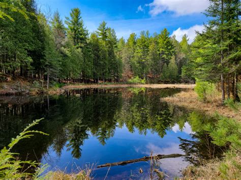 Top 10 hiking trails to do in the Gatineau Park in 2021