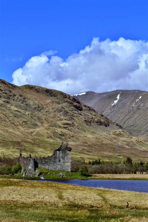 Taynuilt Hotel - A Family Post - Tinned Tomatoes