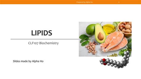 Biochemistry: Lipids | Biology H2 - GCE A Level | Thinkswap