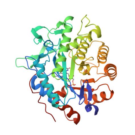 RCSB PDB - 8BPP: crystal structure of N-ethylmaleimide reductase (nemA) from Escherichia coli