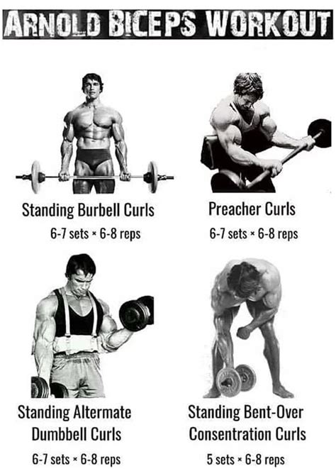 leg workout arnold > OFF-54%