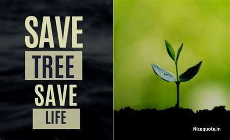 80+ Best Slogans On Save Trees And Save Tree Quotes November 2024