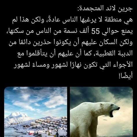 Polar Bear, Quotes, Animals, Quotations, Animales, Animaux, Animal ...