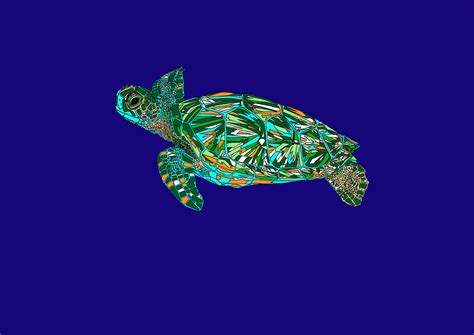 Turtle-animation-swim | Hatched Art