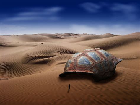 Desert Ecosystem Wallpapers - Wallpaper Cave