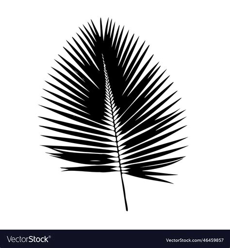 Palm leaf silhouette Royalty Free Vector Image