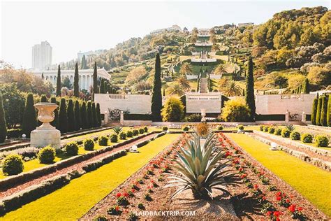 Bahai Gardens In Haifa Israel Photos | Fasci Garden