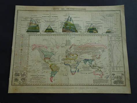 BOTANICAL WORLD map 1850 old hand colored phytogeography | Etsy | Map, Vintage maps, Old map