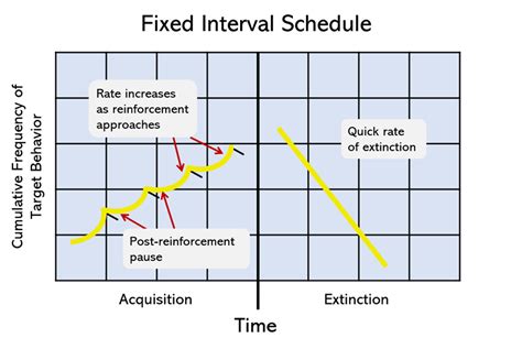 Classical Conditioning vs Operant Conditioning (Table) (2024)