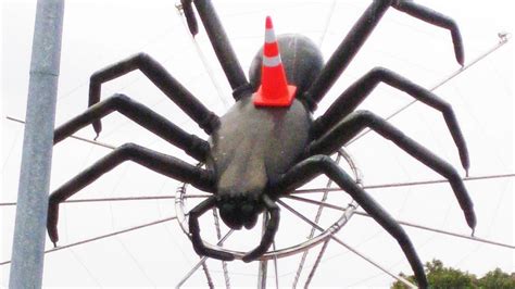 Avondale's Dale the spider 'frightening and off-putting' | Newshub