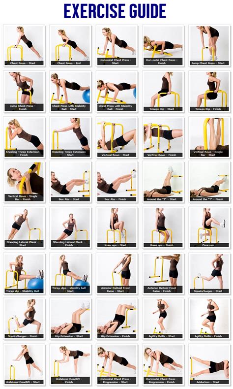 Parallette Equalizer Dip Bar | Bar workout, Bodyweight workout, Parallettes workouts