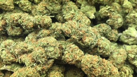 Jack Frost | Marijuana Strain Reviews | AllBud