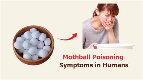 Mothball Poisoning Symptoms in Humans to Never Ignore!