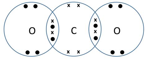 Dot And Cross Diagram For Carbon Dioxide