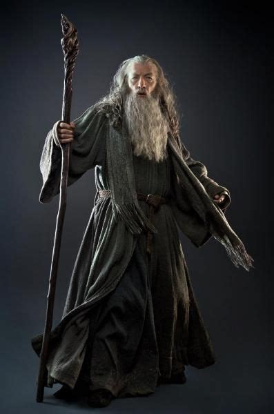 Gandalf el Gris | Gandalf, Gandalf el gris, El señor de los anillos