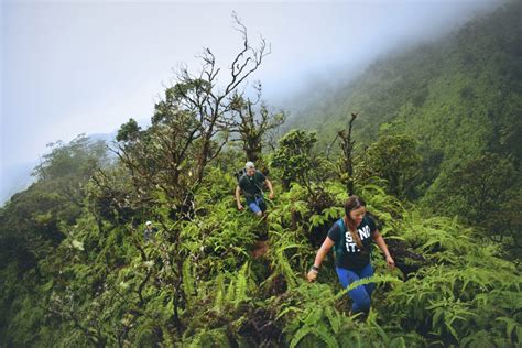 Camping on Oahu - Hawaii State Parks