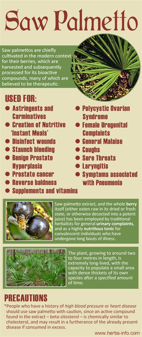 Uses and Benefits of Saw Palmetto | Palmetto, Healing tea, Herbalism