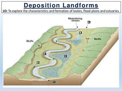 5. depositional features