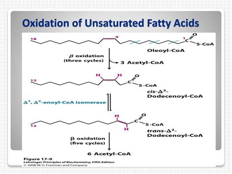 PPT - FATTY ACID OXIDATION PowerPoint Presentation, free download - ID:4709709