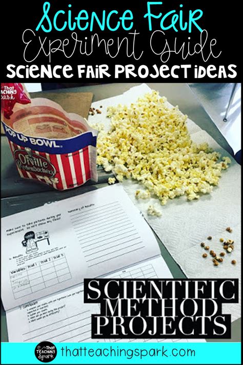 Science Fair Projects Made Simple | All About 3rd Grade