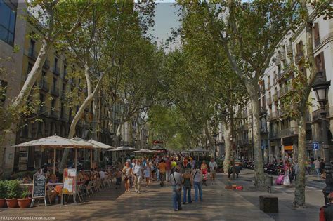 Top facts about The La Rambla | Travel Innate