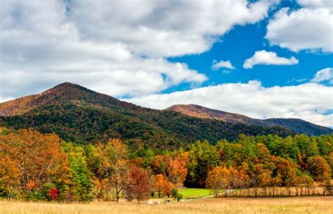 Best Time to Visit Great Smoky Mountains National Park - Traveladvo