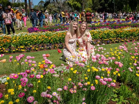 200+ photos: 2023 Toowoomba Carnival of Flowers, Grand Central Floral Parade photo gallery ...