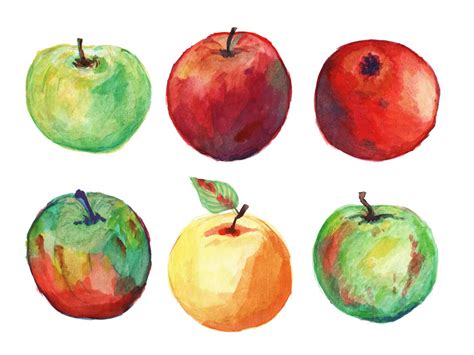 6 Watercolor Apple (PNG Transparent) | OnlyGFX.com