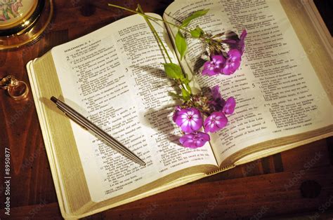 Open Bible with flowers, pen, and wedding rings Stock Photo | Adobe Stock