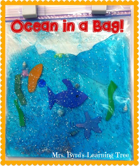 Ocean in a Bag! | Ocean theme preschool, Preschool crafts, Ocean projects