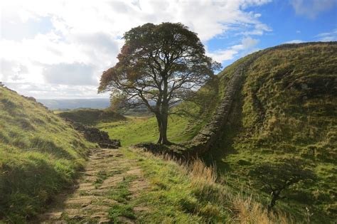 Best Hadrian's Wall walk & best views guide: Path from Steel Rigg to Housesteads, via Sycamore ...