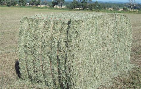 Baling Twine | Bale Twines | Baling Twine For Sale Australia