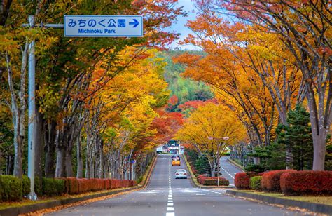 Witnessing Autumn’s Embrace In Japan’s Sendai