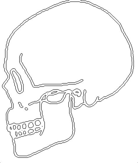 Halloween Coloring Sheets: Human Skull Drawing