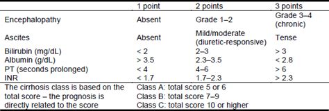 Esophageal Varices Grading