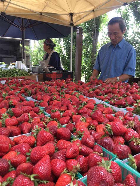 Vineyard Farmers Market in Fresno, California | Farmers market, Vineyard, Artisan food