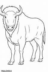 Buffalo Full Body coloring Page sketch template
