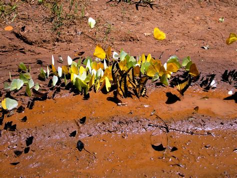 NORTH TRAVELLER: ARGENTINA / WILDLIFE