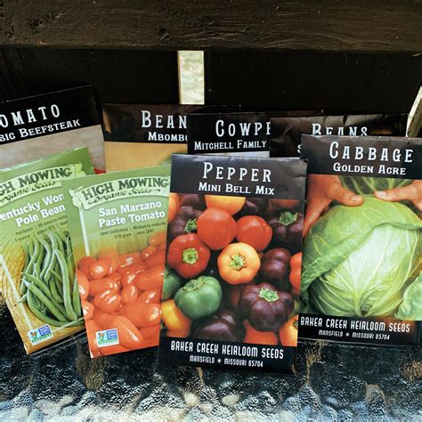 my 2020 garden seeds are here - wanna know what i got? ~ the woodland gardener