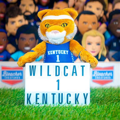 Kentucky Wildcats Wildcat 10" Mascot Plush Figure - Bleacher Creatures