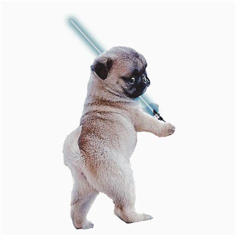 Star Wars Pug: Gifts & Merchandise | Redbubble