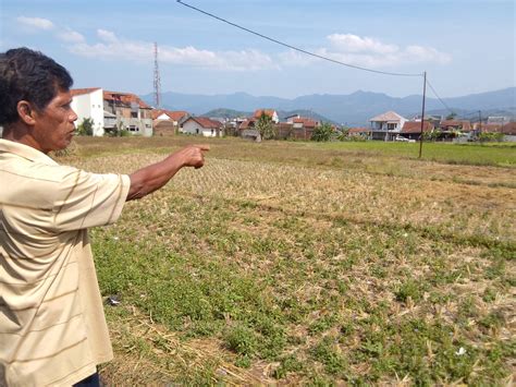 Petani Sawah Tadah Hujan Harapkan Pembangunan Irigasi – Sumedang Ekspres