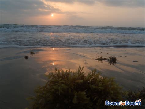 Beach Sunrise in South Padre Island, TX | South padre island, Sunrise beach, Beach