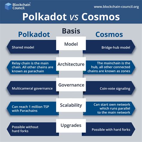 Polkadot vs. Cosmos: A Detailed Comparison - Blockchain Council